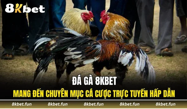 Đá gà 8KBET mang đến chuyên mục cá cược trực tuyến hấp dẫn