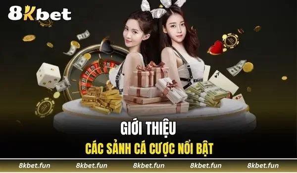 Giới thiệu 8KBET với các sảnh cá cược nổi bật